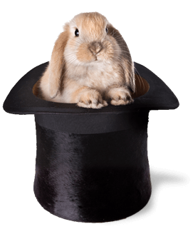 Kaniner og tryllekunstnere rabbit in a hat - Kaniner og tryllekunstnere